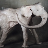 Woman's Elephant